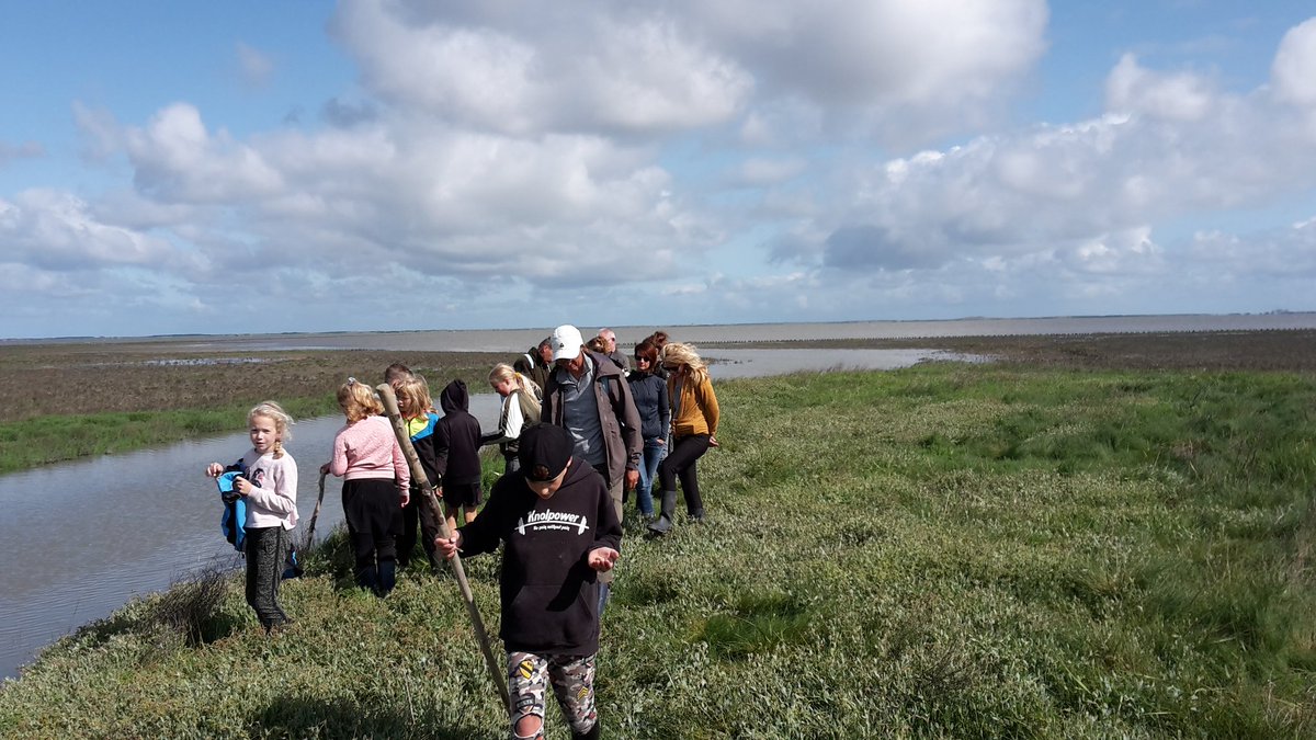 GjerrytH's tweet image. Vandaag weer met een leuke groep de kwelder op! #naarbuiten leren door te doen #educatieprogramma #pierwaaien op de kwelder bij holwerd.