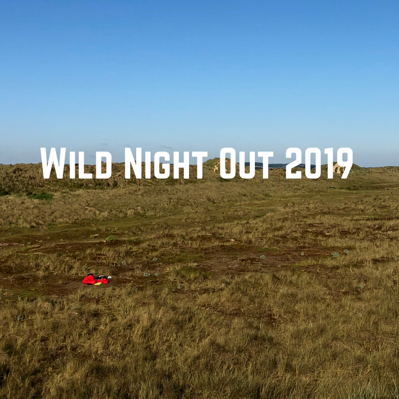 ACMountaineer's tweet photo. Travelling in ultra lightweight style (we only carried four cricket stumps instead of the full compliment of six) Emma and I marched over the dunes for a perfect #WildNightOut2019, until the high-pitched whining started… https://t.co/fXhbgHUiG9 https://t.co/xGgyFs59ut