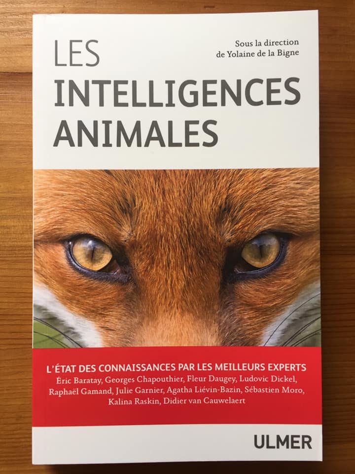 Les intelligences animales, à paraître le 22/08, rassemble des conférences bouleversant notre regard sur le monde animal. Aux côtés d’autres intervenants de renom, Kalina Raskin nous parle de #biomimétisme: quand la biodiversité du vivant nous inspire. Merci pour ce beau projet!