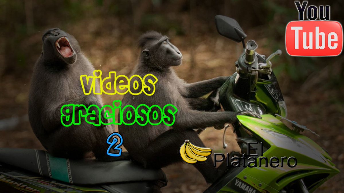 ElPlatanero_VE's tweet photo. Nuevo "Video gracioso 2 - si te ríes pierdes - El Platanero" 
https://t.co/jvFKeRZiuk

No olviden Dar like, compartir y suscribirse. #VideosGraciosos #SiTeRiesPierdes #viral #ViralVideos #ViralVideo https://t.co/rndfMbxiVP