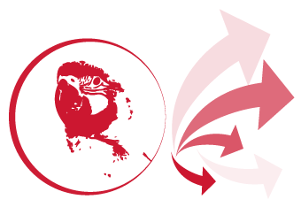 El transporte de las aves de un lugar a otro puede ser un momento estresante para estos animales. Por este motivo, tanto en Loro Parque Fundación como en Loro Camp coordinamos esfuerzos para que el viaje sea lo más seguro, controlado y confortable posible.