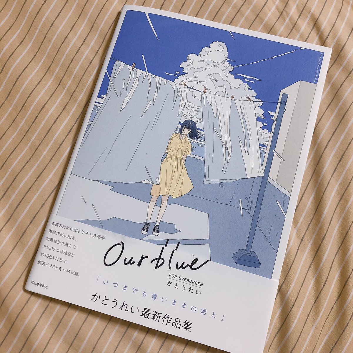 na_tto_ku_chan's tweet image. 買ってしまいました……
#かとうれい 
#Ourblue