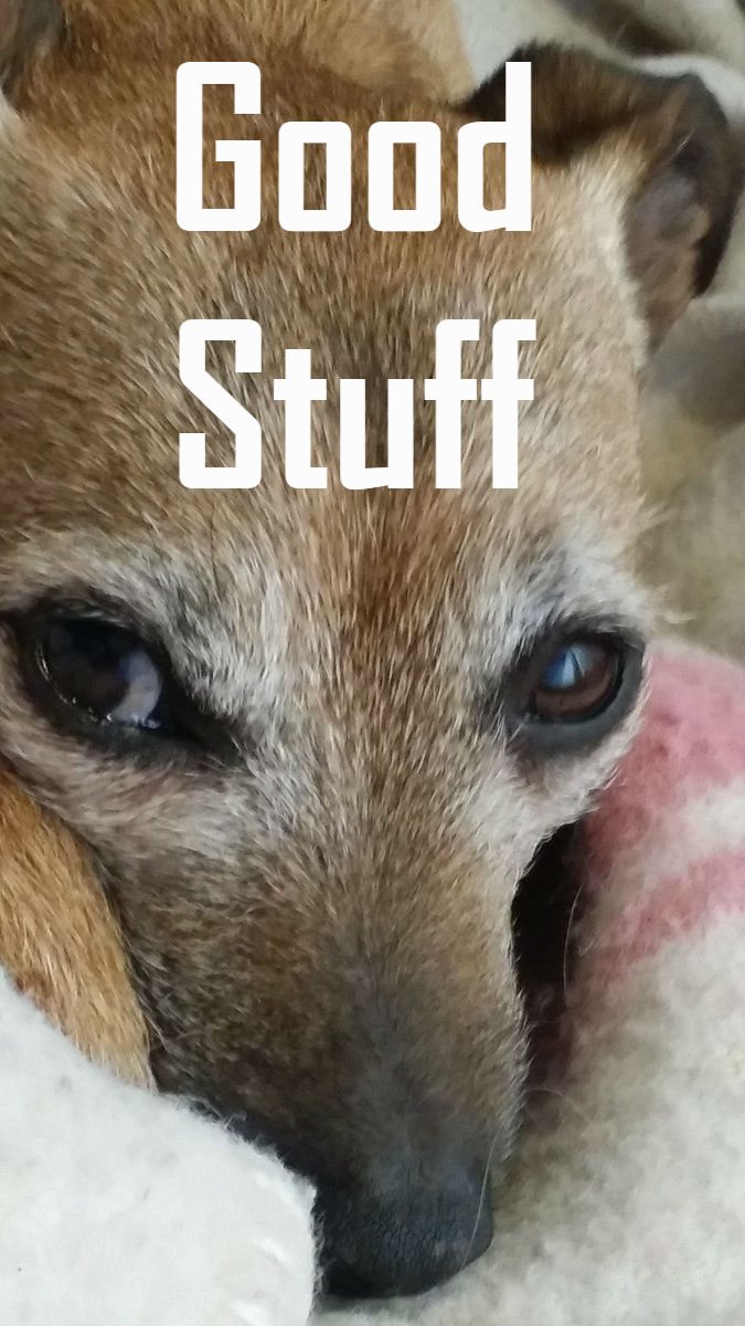 newsanceandgg's tweet image. We are diffrent.............
We are future
#!0th10th
#Everyear