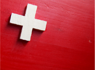 Antes de llegar a las instalaciones de Loro Camp, todas las psitácidas que proceden de Loro Parque Fundación han sido sometidas a análisis veterinarios para certificar que están libres de poliomavirus, circovirus, bornavirus y Chlamydophila psittaci.