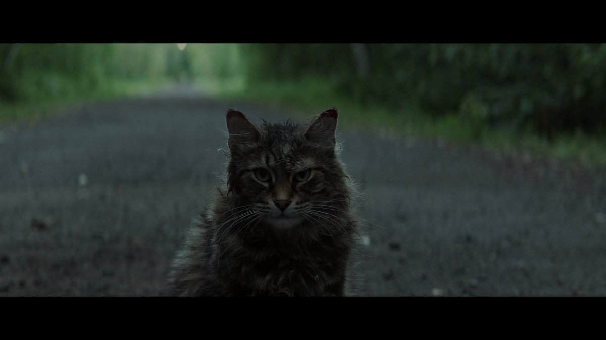 HighDefDiscNews's tweet photo. Pet Sematary [2019] - 4K UHD Blu-ray Screenshots 

#PetSematary #StephenKing #4K #UHD #HDR @UltraHDBluray #Screenshots #JasonClarke #AmySeimetz #JohnLithgow @starryguys #KevinKolsch #DennisWidmyer #4KScreenshots

VIEW the whole set (45 shots total) HERE: 

https://t.co/z07hFNQpWp https://t.co/subI2bB0I7