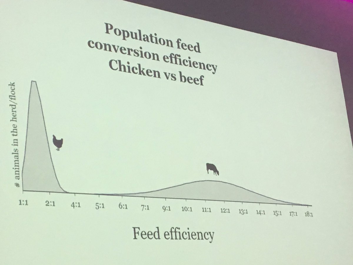 Huge opportunity to improve feed conversion efficiency of ruminants and thus decrease carbon emmissions says Graham Ramsbottom, CEO #wheatsheafgroup speaking at #CLACCsummit19 sponsored by <a href="/knightfrank/">Knight Frank</a>
