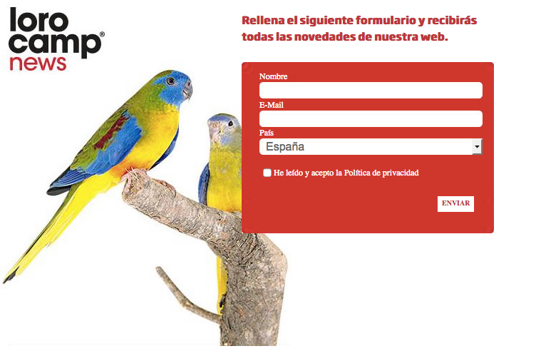 El objetivo de Loro Camp es apoyar el comercio legal y transparente de aves. ¡Suscríbete a nuestra newsletter! lorocamp.com/news.php