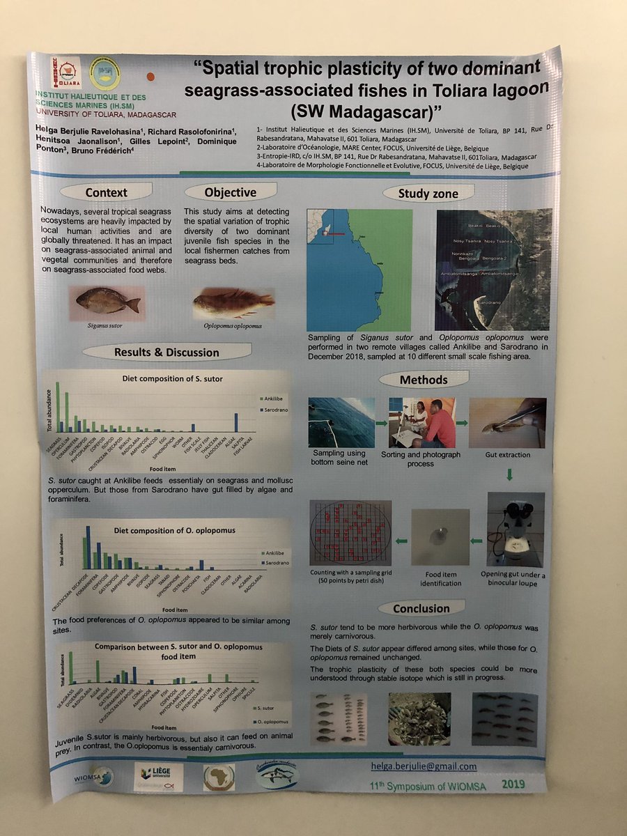 World_Seagrass's tweet image. Spatial trophic plasticity of two dominant seagrass-associated fishes in Toliara Lagoon - Helga Berjulie Racelohasina #wiomsasymposium2019
