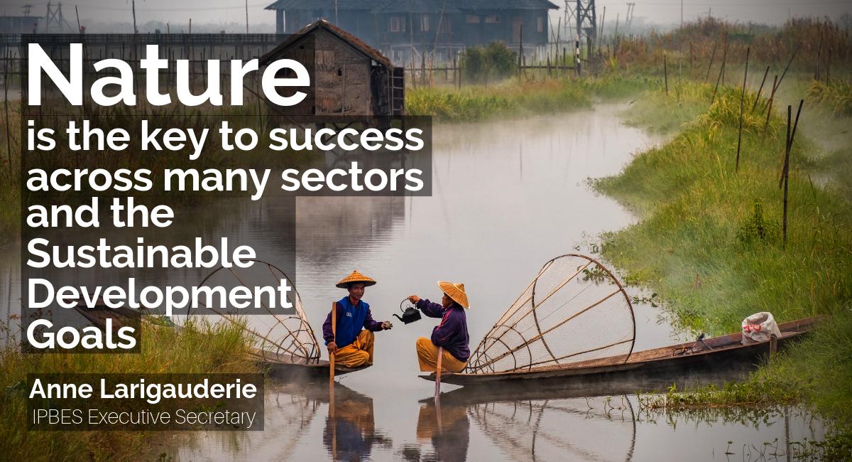 IPBES's tweet photo. #Biodiversity is a must have for #SustainableDevelopment.

"There will not be sustainable #agriculture, feeding the world, ending #poverty, or securing clean #water if we don't treat the environment properly." 

—Anne Larigauderie, #Trondheim #TC9 https://t.co/D8BgR9E42i