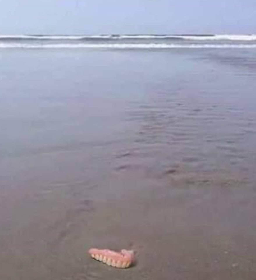 xblauman's tweet photo. Cuando el mar te arranca un sonrisa.. https://t.co/FiLPLYEJHb