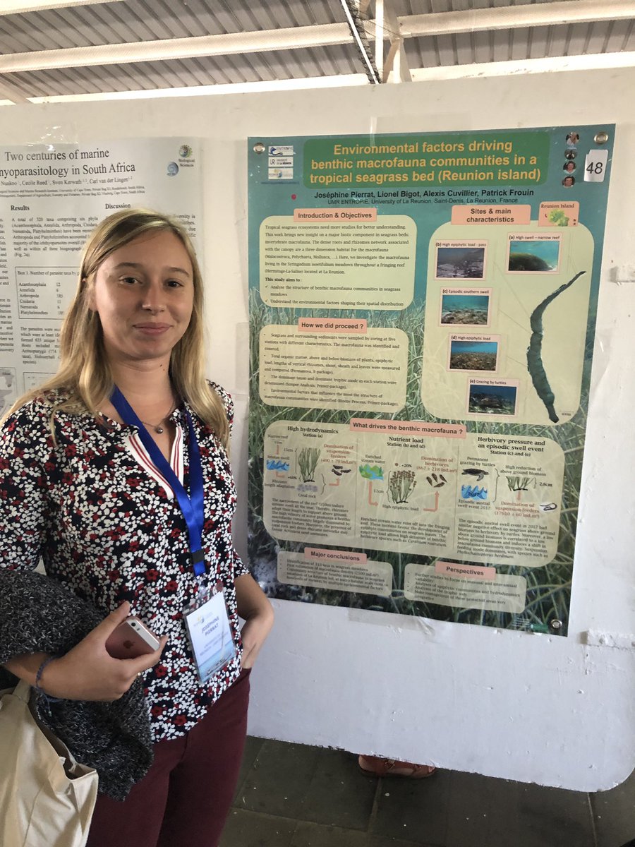 World_Seagrass's tweet image. Environmental factors driving benthic macro fauna communities in a tropical seagrass meadow (Reunion Island) - Joséphine Pierrat #wiomsasymposium2019