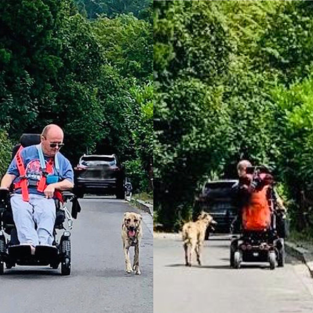 „Ziemlich beste Freunde“ 🎬

Josy😍 - Kangalmix

Josy‘s Ausbildung zum Behindertenbegleithund neigt sich dem Ende. 
Leinenbefreiung gem. Paragraph 17 Landeshundegesetz -LHundG NRW ist beantragt.

 #SitzPlatzSteh #sonjagrüter  #tiergestützteTherapie #Behindertenbegleithund