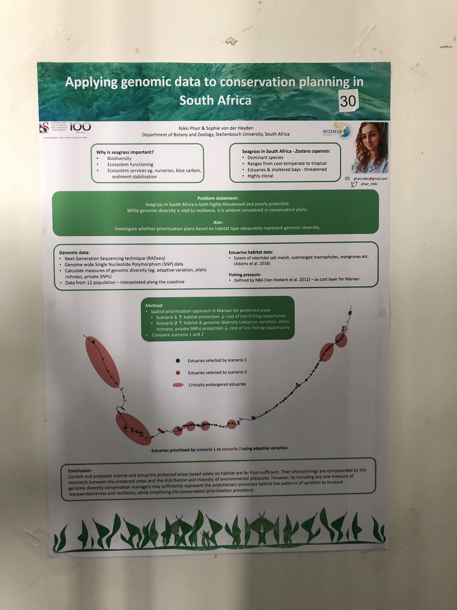 World_Seagrass's tweet image. Applying seagrass genomic data to conservation planning in South Africa @phair_nikki @vonderHeydenlab #wiomsasymposium2019