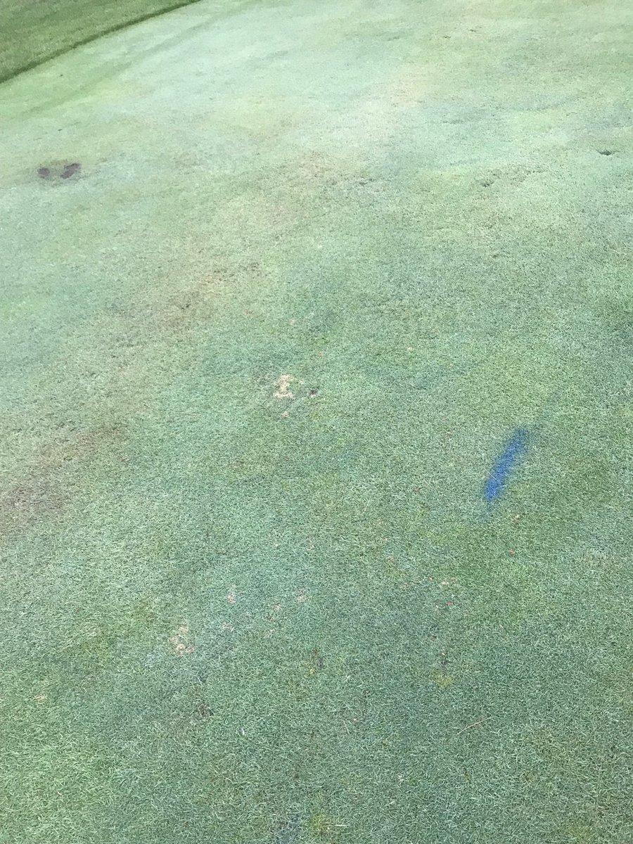 jeffdstauffer's tweet photo. The value of 250 square meters of untreated areas is evident this morning. #checkzones #checkplots https://t.co/6ULS5lGqUk