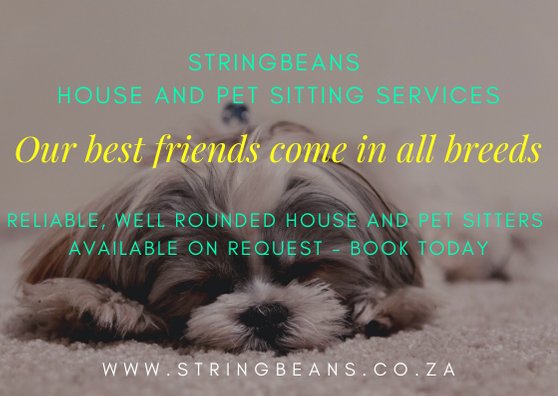 Stringbeans10's tweet image. 