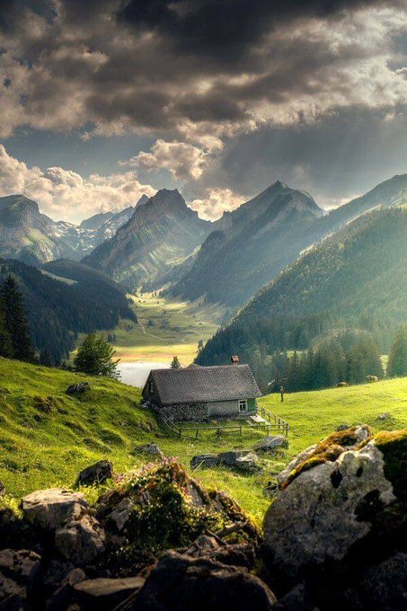 This is where I want to spend my lazy days https://t.co/u4IbcGJ74p<a href="/tag/fun"class="tags"><span>#fun</span></a><a href="/tag/live"class="tags"><span>#live</span></a><a href="/tag/room"class="tags"><span>#room</span></a><a href="/tag/join"class="tags"><span>#join</span></a>