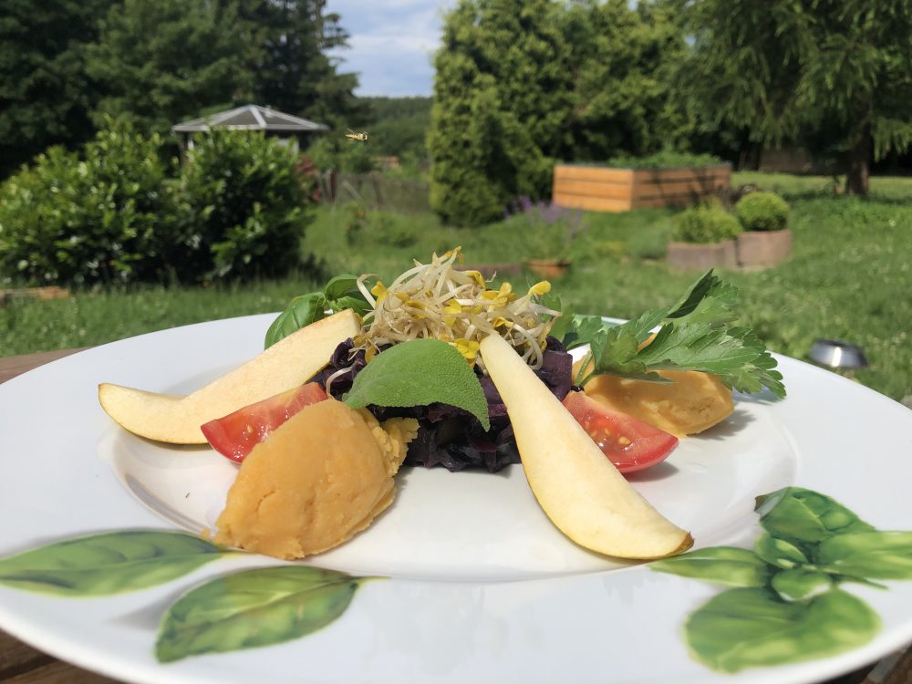dasbasenfasten's tweet photo. Mhhhmhmm, so lecker schmeckt's im Landhotel Altes Zollhaus im Erzgebirge. Heute gibt's basischen Rotkohl mit Süßkartoffelpüree. Hier das Rezept zum Nachkochen:
https://t.co/W9rmDYHNvN https://t.co/jO3bcHPYEN
