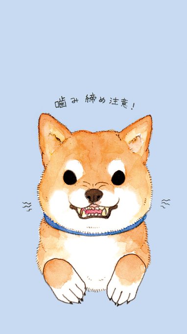 「全身 柴犬」のTwitter画像/イラスト(古い順)