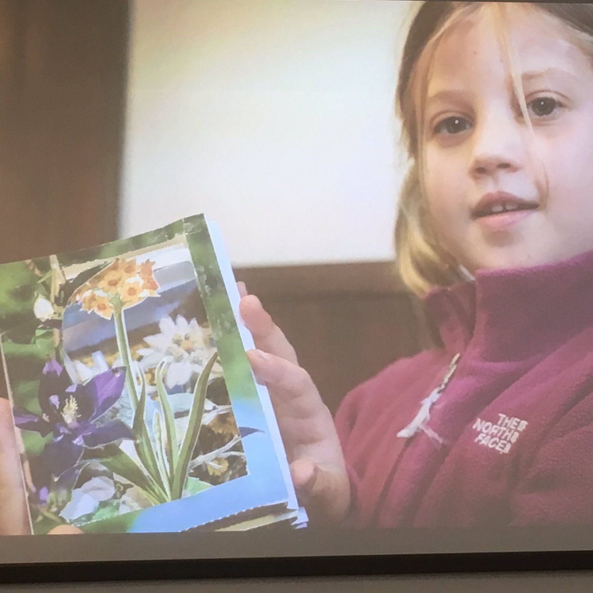 What can you do to reconnect with nature? 
Emma from <a href="/ThelmaHulbert/">THG</a> gives us some wonderful ideas...