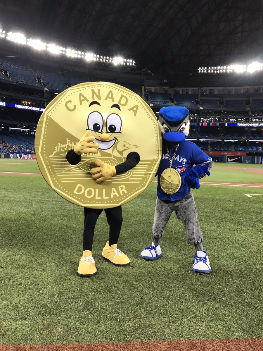 Toronto Blue Jay Dog -  Canada