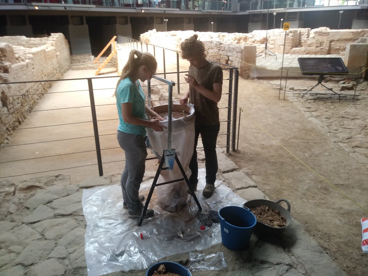 PaleoBarcino tweet media