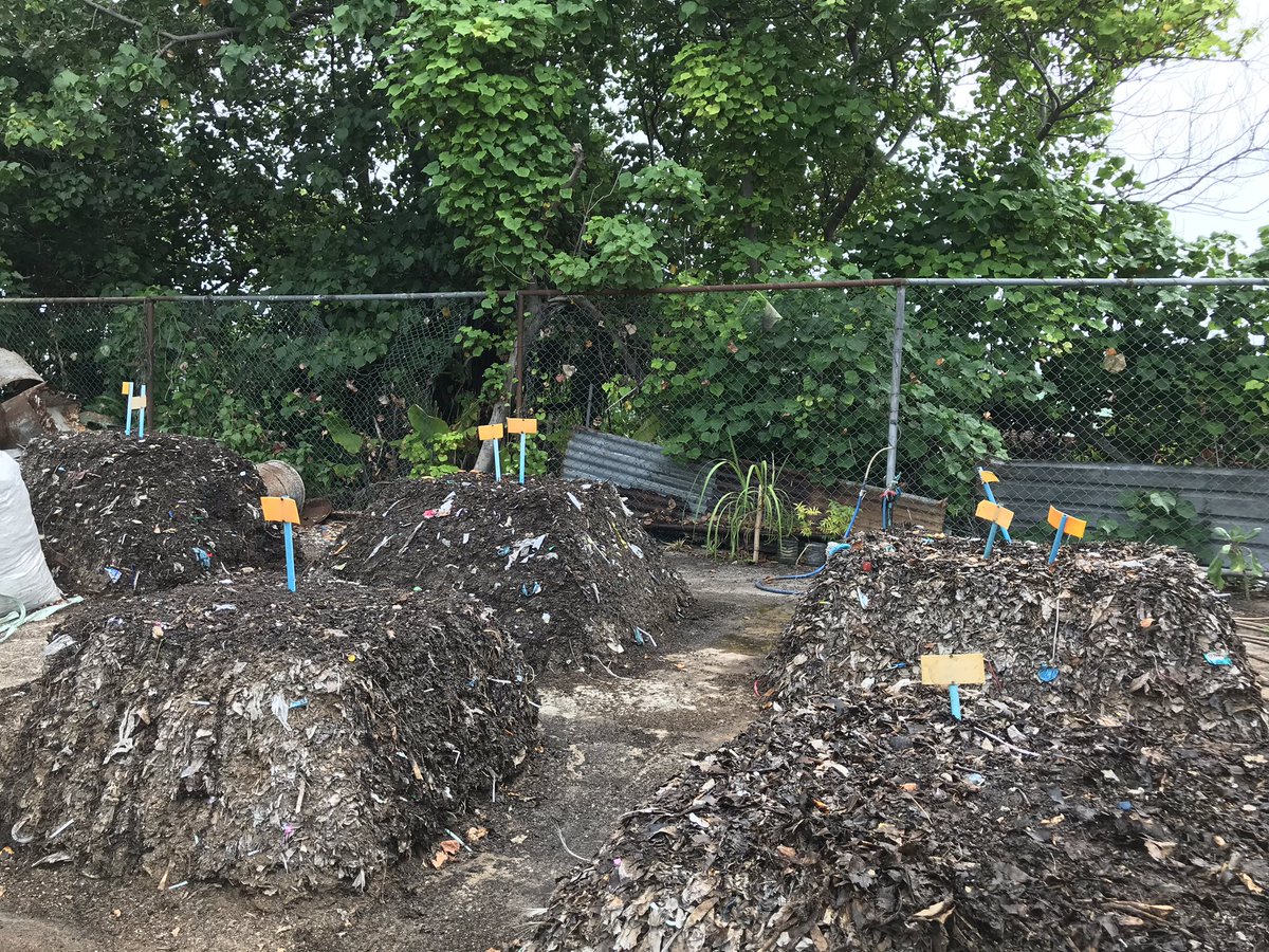 learningflex's tweet photo. Clean beaches, Green area and compost from local waste in Ukulhas, The Maldives. https://t.co/EEzzqhLMx8