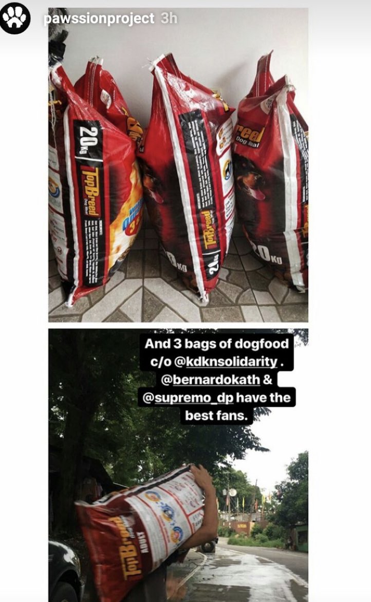 KindKath's tweet image. Bags of dog food from @KDKNSolidarity for Pawssionproject. If you are interested to get involved, please contact @reigncandice or send us a DM.