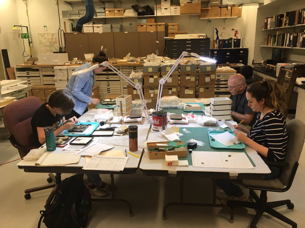 MaraCTaft's tweet photo. Archaeology Lab staff and volunteers are hard at work cataloging artifacts for our current project! @sciencemuseummn #smmanthrodept #somanybones #archaeology https://t.co/kfjx8aYCfK