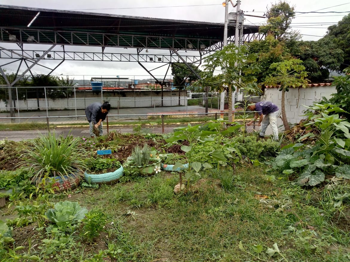 c.e.i ruiz pineda (@ceiruizpineda) on Twitter photo 