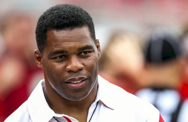 DarrinDonnelly's tweet photo. “All of us need to be on guard – we can all be dragged down by hanging with the wrong crowd.” – Herschel Walker https://t.co/Nw5PRu260X https://t.co/bMqcZ5egZq