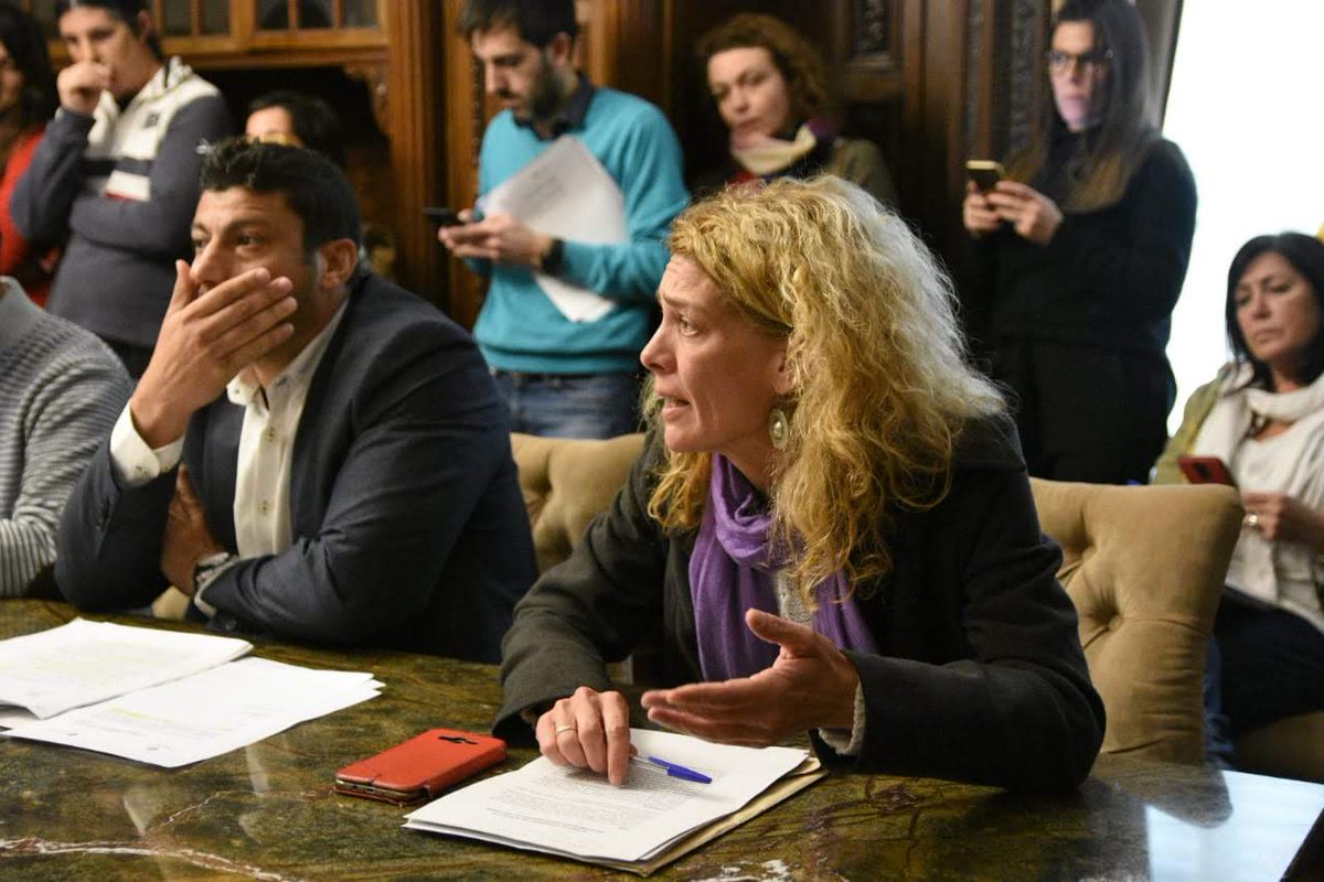 CelesteLepratti's tweet photo. #Megatorres Una vez más, no se tiene en cuenta a quienes traen propuestas alternativas a la del desarrollador #Lattuca. Hoy perdemos la oportunidad de apostar a un modelo de ciudad más sustentable y amable con el ambiente y lxs vecinxs.
@Rosario_Plus
@LeoRicciardino @dhfiori https://t.co/zSgYBek9Ip