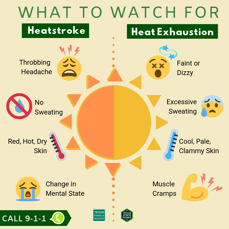 TPWDparks's tweet photo. Know the difference between Heatstroke and Heat Exhaustion this summer. 

For more #HeatSafety tips, visit https://t.co/EeuH2lmloG

#TXStateParks https://t.co/BT7tQHg3Uf