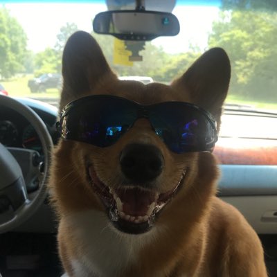 Treylavy23's tweet photo. #NewProfilePic https://t.co/7XQOO0Dhmi