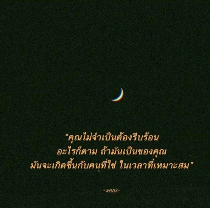 23.5°Z ㅡ tweet media