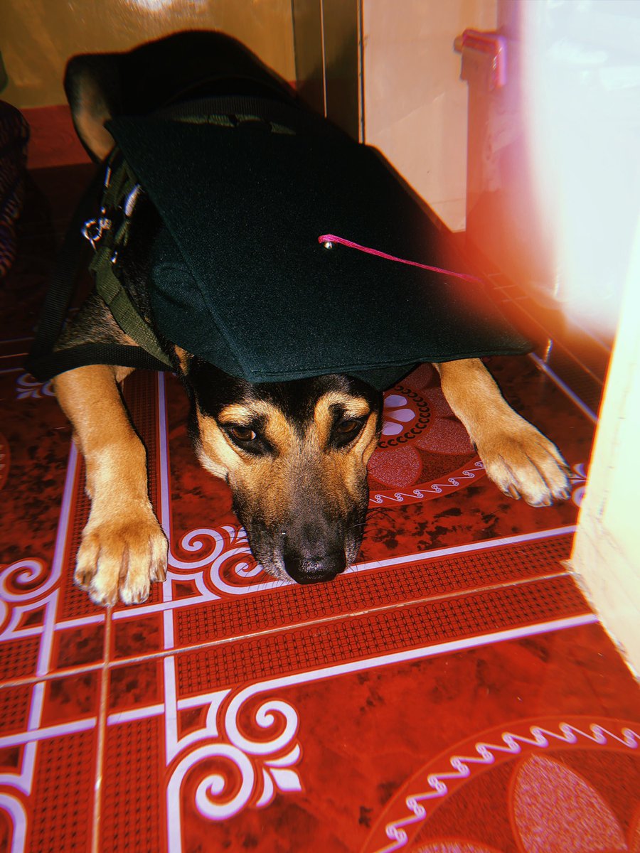aylaysa's tweet photo. Congrats to us baby boy 💞💞💞 kung pwede ka lang isama bukas eh 😢 loveyou https://t.co/0LqecAHyYm