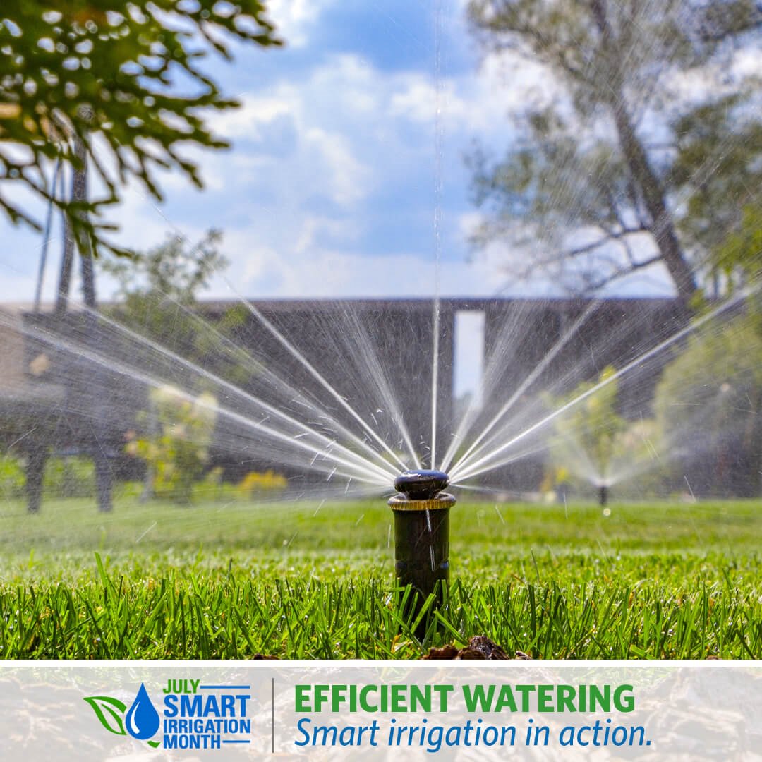 wellcareWON's tweet photo. July is #SmartIrrigationMonth! Learn more: https://t.co/2i2zKnLcho #efficientwatering #savewater #waterwells https://t.co/DIG1OvNDsL
