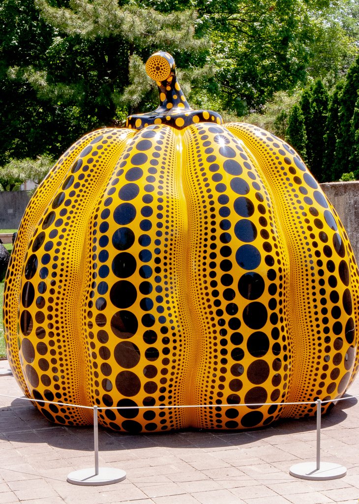 SAMTours2's tweet photo. Celebrating July with Summer Pumpkin Wishes.  😍
#July #HirshhornSculptureGarden #Pumpkins
https://t.co/tg265YxwG8 https://t.co/4q8gZoXRtM