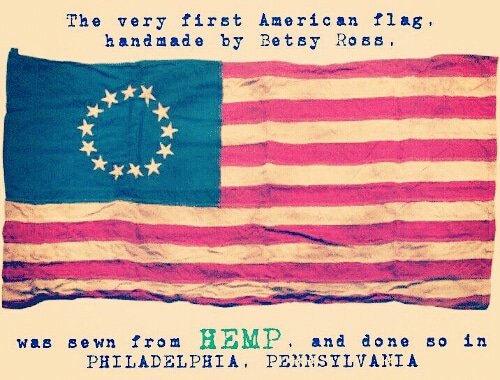 hempy_s's tweet photo. #America #IndependenceDay  #USA  #ARMY #Liberty  #veterans #Indivisible #Hemp #hempoil #plants #CBD #flower #hempfarmers  #hempfarm #hemplife #hemphistory #CBDlife #cbdflowers #organic #holistichealth #americanflag https://t.co/MYn8pbRaS3