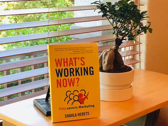 ThinkMedia16's tweet photo. Our founder's, @ShahlaTHebets, book just arrived (advanced copies)! Read it to learn more about winning in today's cutting-edge brand environment.  https://t.co/PvIlSHBMVj https://t.co/8CenBAoWZa