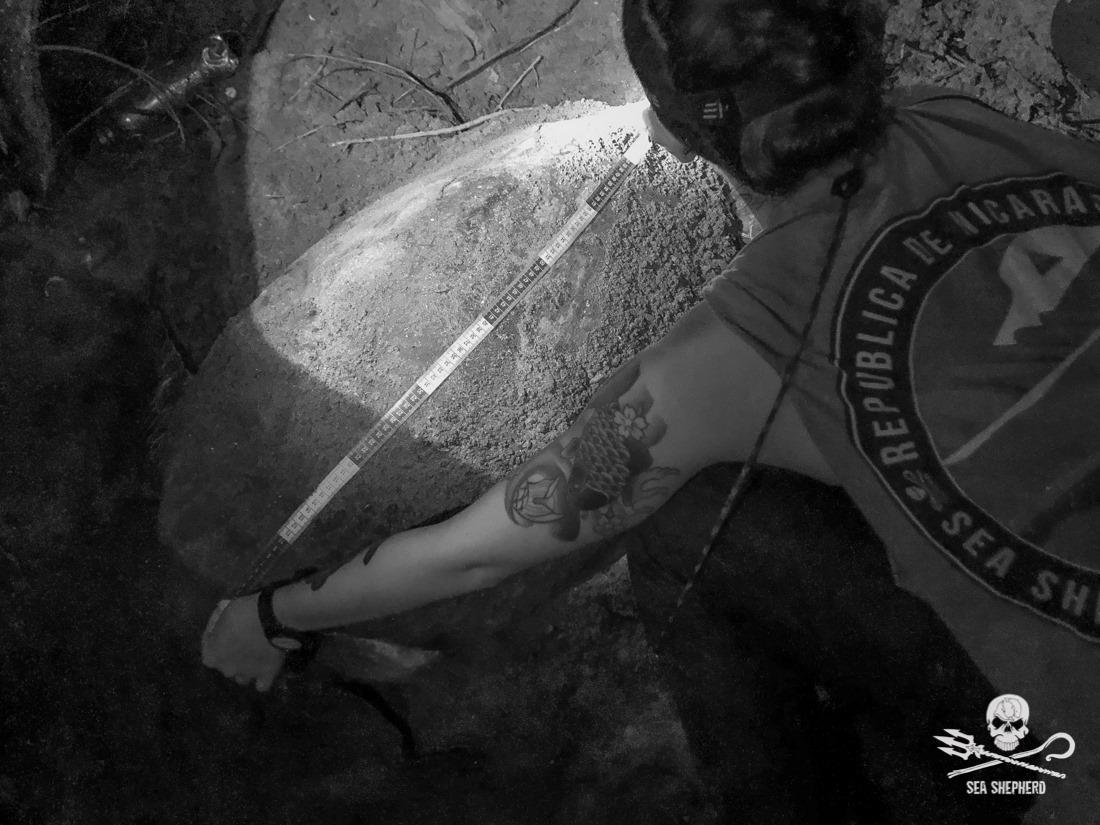 Operation Jairo tweet media