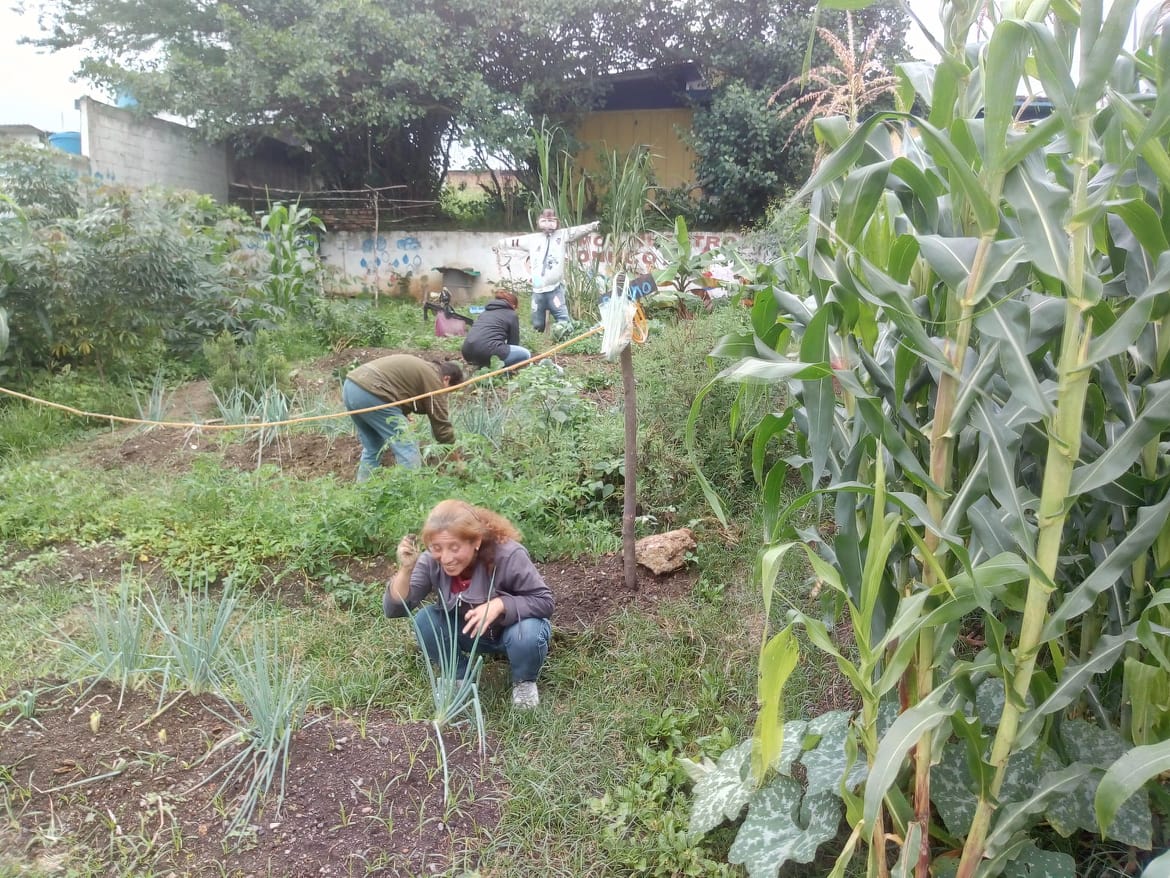 c.e.i ruiz pineda (@ceiruizpineda) on Twitter photo 