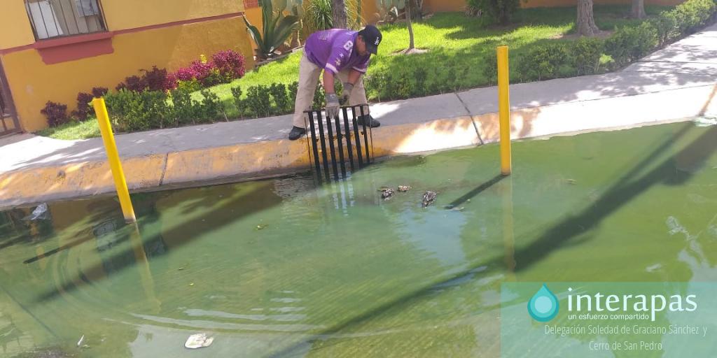 Interapass's tweet photo. #Trabajandoparati Todo el equipo de operación y mantenimientode Interapas Delegación Soledad de Graciano Sánchez y Cerro de San Pedro realizan trabajos de desazolve en Av. Cactus Frente a Quinta Pinos con apoyo de Vactor. Todos los reportes los estamos atendiendo de 24 a 48 hrs. https://t.co/kQOuEkVlSh