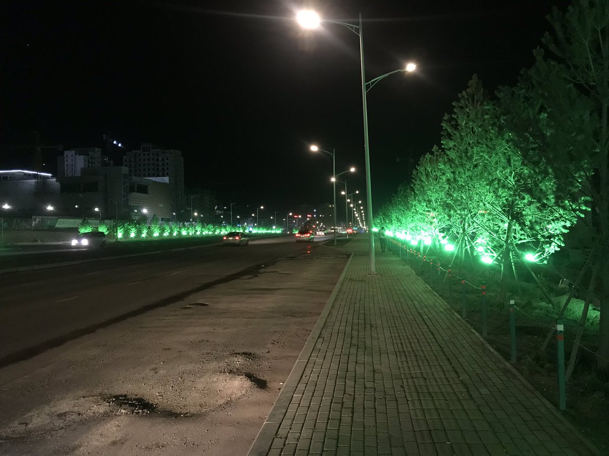 turuu06's tweet image. Гоё болжээ 👍👍👏👏