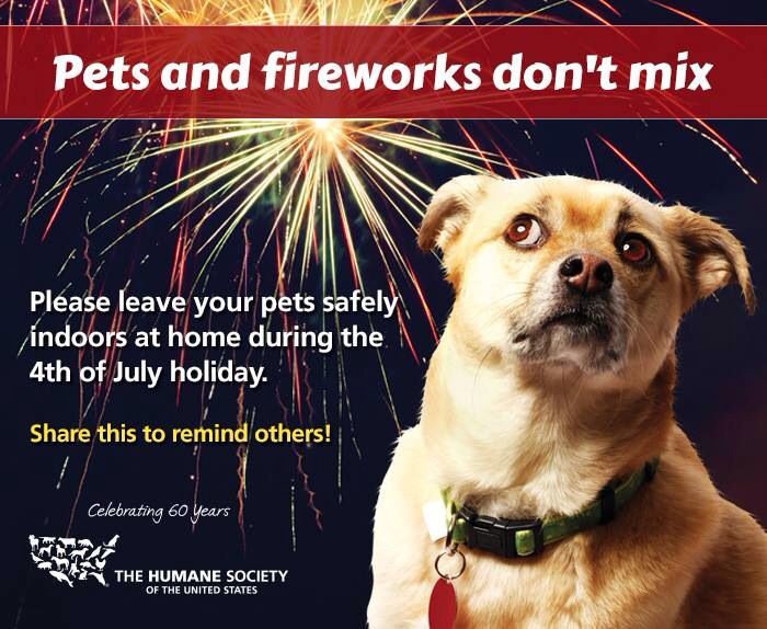 WichitaPolice's tweet photo. Remember to keep your pets inside during fireworks to prevent them from getting out.  #workingtogeather https://t.co/4yU2ddEPtH
