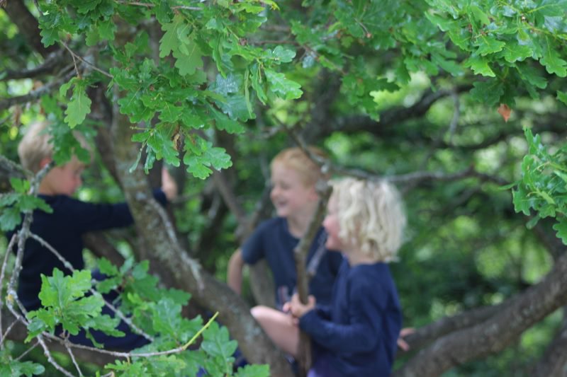 VectisHA's tweet photo. Celebrating our restoration of the Arc, #Ryde - an #urban #greenspace &amp; #playground which has #nature #wildlife #art #ecology and #community at its heart! Just what you'd expect from #LifeinaBiosphereReserve #Biodiversity #climateaction #WildAboutWight 
https://t.co/JwzCcaXh3n https://t.co/GHKtCOgSrc