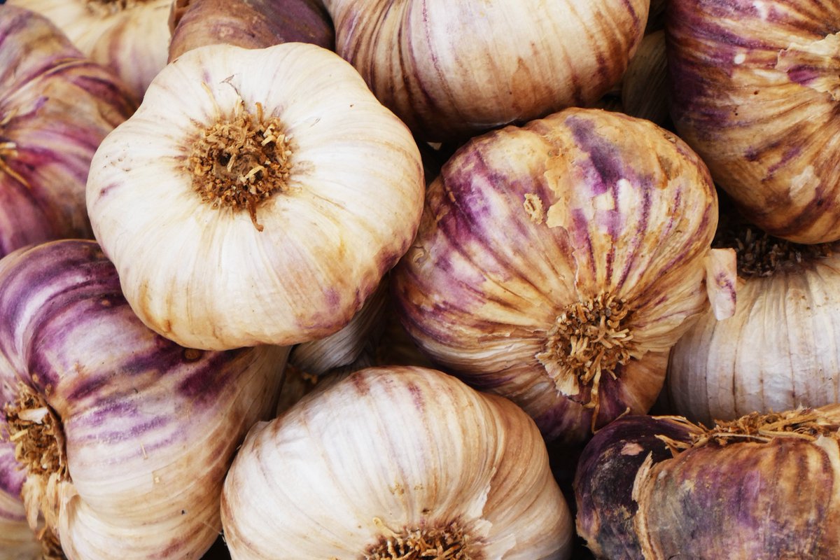 Bhujon_Dining's tweet photo. Garlic is used a lot in Indian cookery. 🇮🇳

Other than it's wonderful taste that is the base of many dishes it also helps to reduce bad cholesterol and helps to combat heart disease❗ 💚

#Superfood #foodfacts #Indianfood https://t.co/B9BLjrF87F