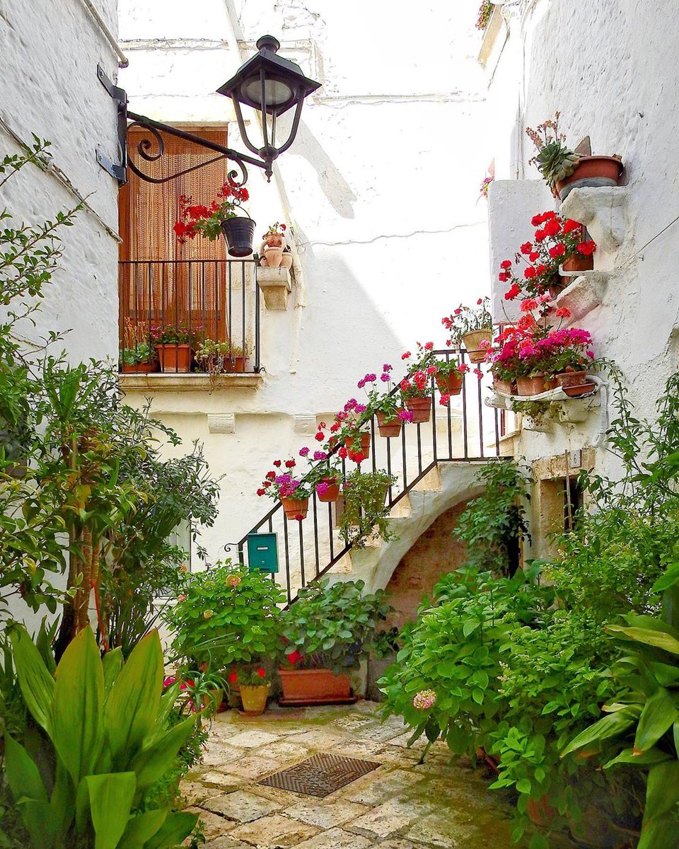 viaggiarepuglia's tweet photo. Muri imbiancati a calce e fiori colorati, sono questi i contrasti cromatici che abbelliscono i vicoli di Locorotondo.
#WeAreinPuglia 📷Instagram @ vinkweb https://t.co/oexVlz4f3H