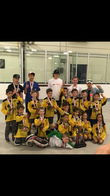 TrulyNolenCAN's tweet photo. Congratulations to the Toronto Tyke Truly Nolen Ball Hockey team on their Championship.  #trulynolen #goodhousekeeping #3peat https://t.co/0QpCTGIjiW