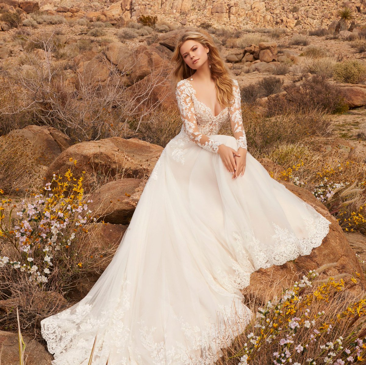 bestforbride's tweet photo. Reagan (Style 2078) by #Morilee is a ballgown with a scalloped hemline with pearl and crystal beaded lace appliquรฉs.๐ #BestForBride https://t.co/ASFT7AtN93
