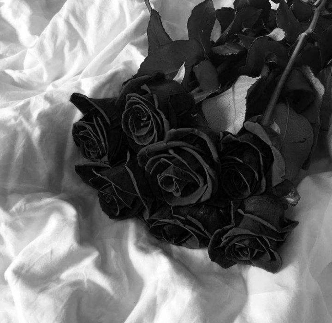 Amelia_nbo's tweet photo. หาคนเข้ากลุ่ม
ℬ BLACK ROSE ℬ
→มีแท็กให้เล่น
→เคารพกันและกัน เรียกมาสว่าซิส
→มีกฎในการอยู่ร่วมกัน
→ปรึกษากันได้ทุกเรื่อง เสมือนว่าคือครอบครัว
→นิสัยขี้ดอง ทุเรศ น่ารัก ก็มาได้
→รับเมจฝอและเมจศลป.
→คัดคนค่ะ

#rtลากเข้ากลุ่ม  #บอทโสด  #รีลากเข้ากลุ่ม #บอทเหงา #ยืมเมจforsex https://t.co/gJfbBAjI5A